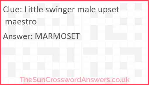 Little swinger male upset maestro Answer