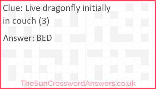 Live dragonfly initially in couch (3) Answer