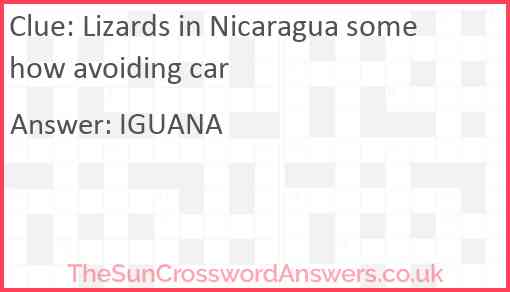 Lizards in Nicaragua somehow avoiding car Answer
