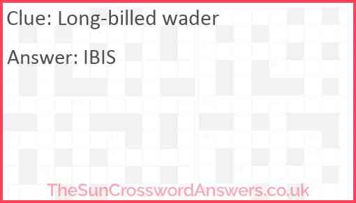 Long billed wader crossword clue TheSunCrosswordAnswers co uk