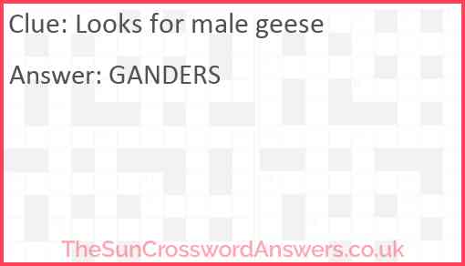 Looks for male geese Answer