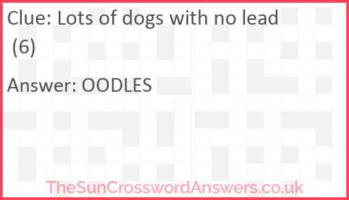 Lots of dogs with no lead (6) Answer