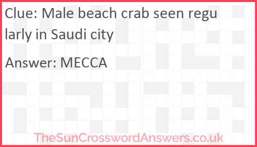 Male beach crab seen regularly in Saudi city Answer