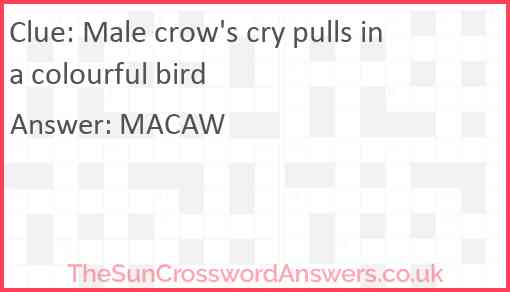 Male crow's cry pulls in a colourful bird Answer