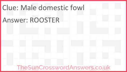 Male domestic fowl Answer
