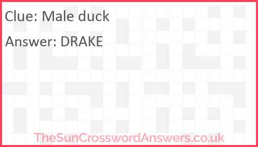 Male duck Answer