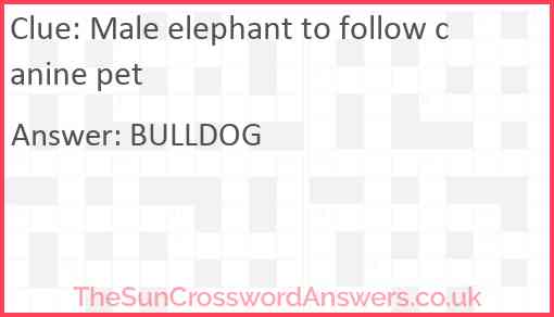 Male elephant to follow canine pet Answer