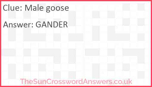 Male goose crossword clue TheSunCrosswordAnswers co uk