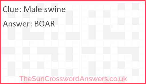 Male swine crossword clue TheSunCrosswordAnswers co uk