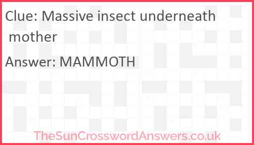 Massive insect underneath mother Answer