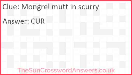 Mongrel mutt in scurry Answer