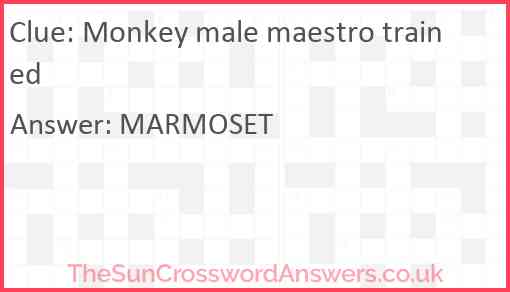 Monkey male maestro trained Answer