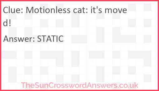 Motionless cat: it's moved! Answer