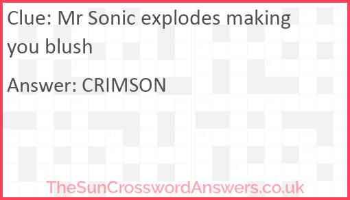 Mr Sonic explodes making you blush Answer