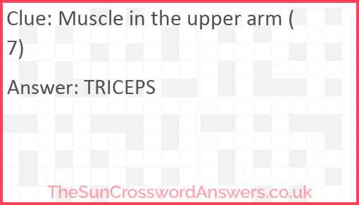 Muscle in the upper arm (7) Answer