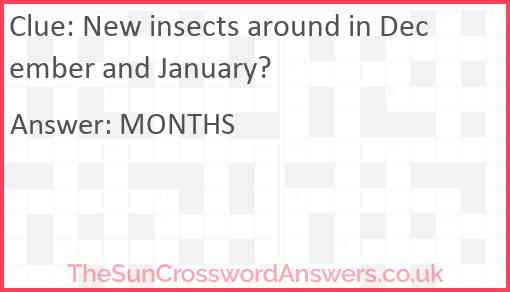 New insects around in December and January? Answer