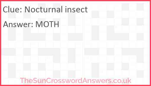 Nocturnal insect Answer