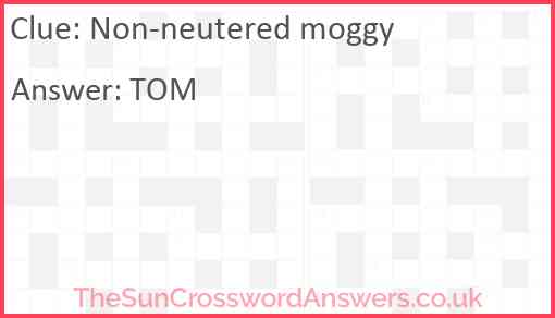 Non-neutered moggy Answer