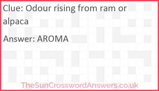 Odour rising from ram or alpaca Answer