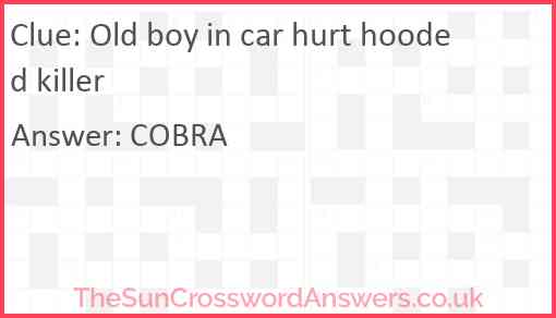 Old boy in car hurt hooded killer Answer