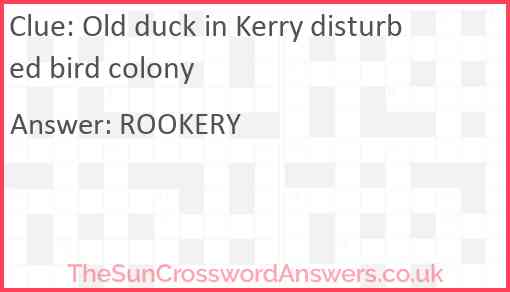 Old duck in Kerry disturbed bird colony Answer