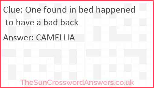 One found in bed happened to have a bad back Answer