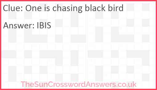 One is chasing black bird Answer