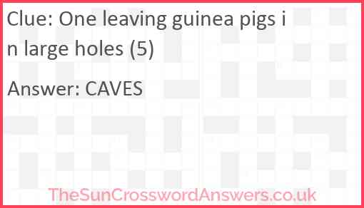 One leaving guinea pigs in large holes (5) Answer