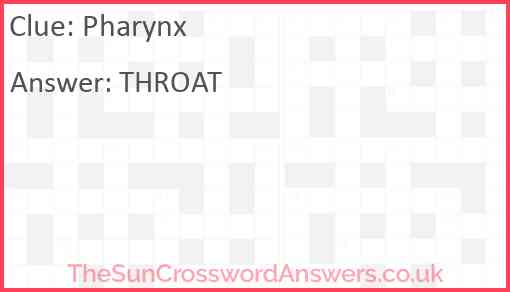 Pharynx Answer