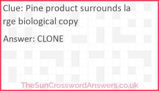 Pine product surrounds large biological copy Answer