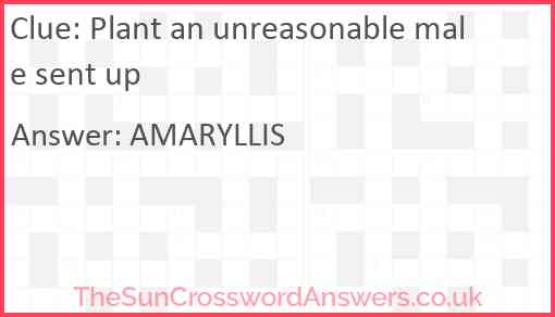 Plant an unreasonable male sent up Answer