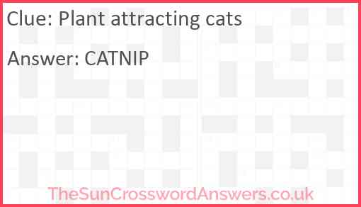 Plant attracting cats Answer