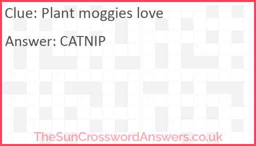 Plant moggies love Answer