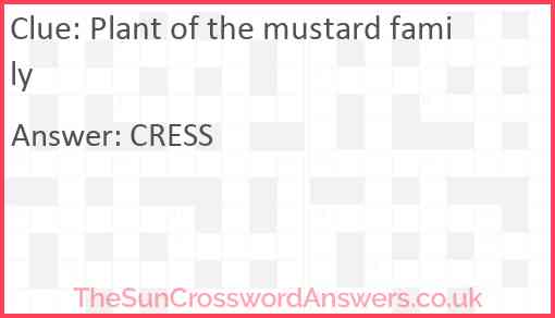 Plant of the mustard family Answer