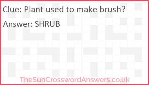 Plant used to make brush? crossword clue TheSunCrosswordAnswers co uk