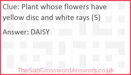Plant whose flowers have yellow disc and white rays (5) Answer