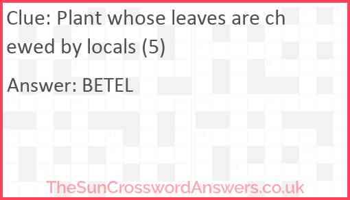 Plant whose leaves are chewed by locals (5) Answer