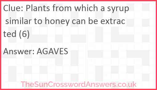 Plants from which a syrup similar to honey can be extracted (6) Answer