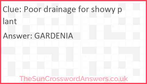 Poor drainage for showy plant Answer
