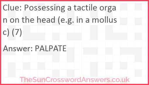 Possessing a tactile organ on the head (e.g. in a mollusc) (7) Answer