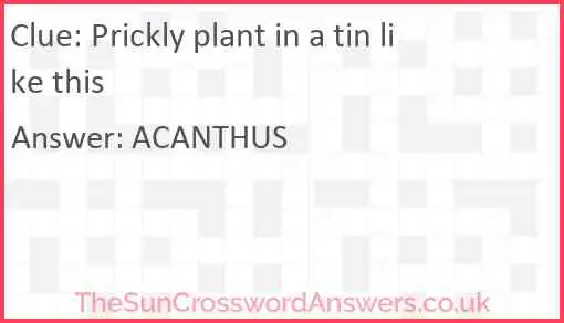 Prickly plant in a tin like this Answer