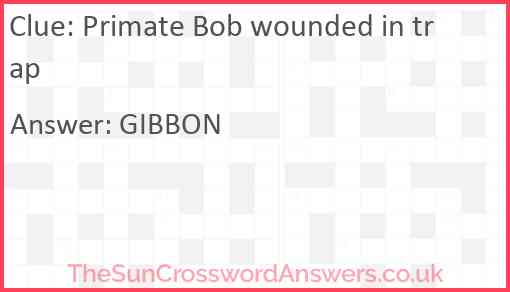 Primate Bob wounded in trap Answer