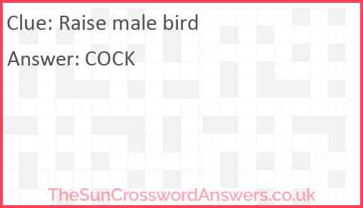 Raise male bird Answer
