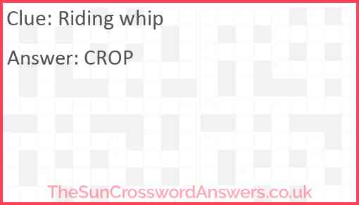 Riding whip Answer