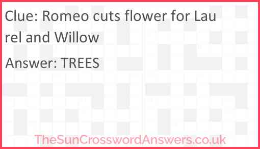 Romeo cuts flower for Laurel and Willow Answer