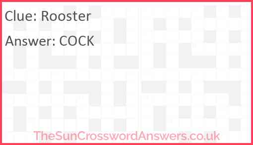 Rooster Answer