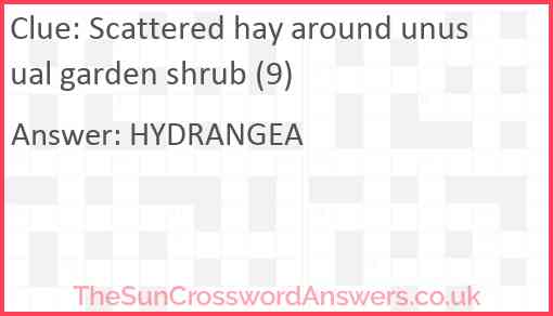 Scattered hay around unusual garden shrub (9) Answer