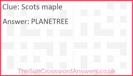 Scots maple Answer