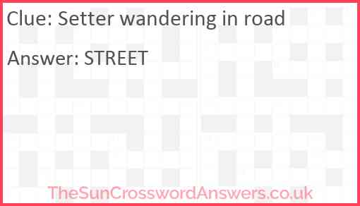 Setter wandering in road Answer