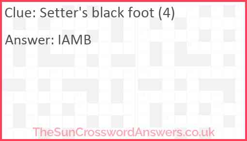 Setter's black foot (4) Answer